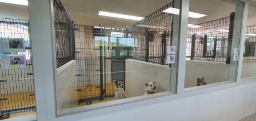 대전시 동물보호센터 새로운 보금자리 마련 (1).jpg