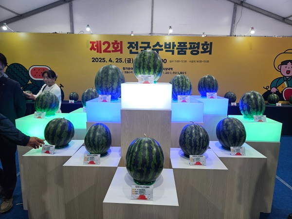 4.함안수박축제 금상, 동상 수상 (2).JPG