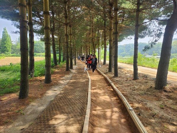 2.덕산온천 황톳길 전경.jpg