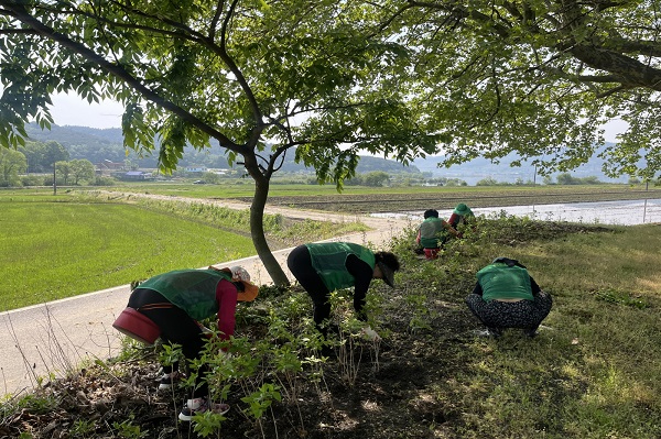 6.진달래 꽃길 주변 풀베기 작업 (2).jpg