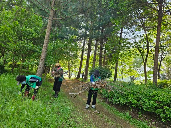 8.덕산면 새마을협의회가 예초작업을 실시하고 있는 모습(3).jpg
